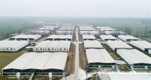 Animal husbandry(图1) Animal husbandry(图1)