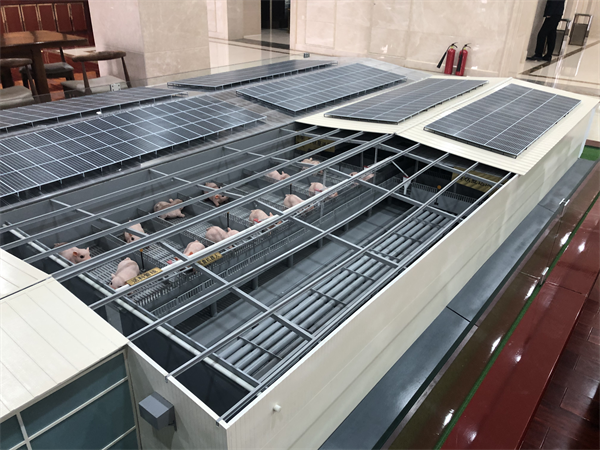 Animal husbandry(图5) Animal husbandry(图5)